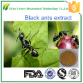 Natural ripe extracts from black ants